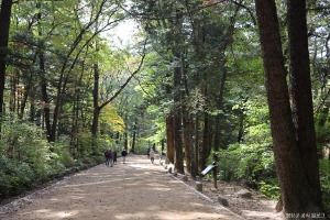 오대산 선재길 사진 5