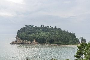 하의도 사진 6
