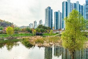 [부천문화둘레길] 도시숲길