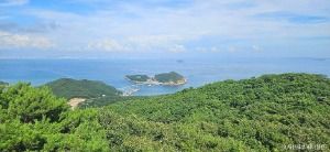 3586984 image3 1 예스키즈존 탐험대 : 실패 없는 육아여행