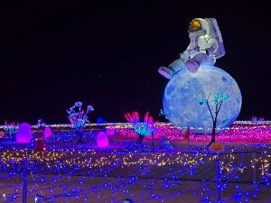 2025 해운대 빛축제 6