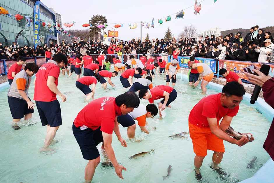 평창송어축제