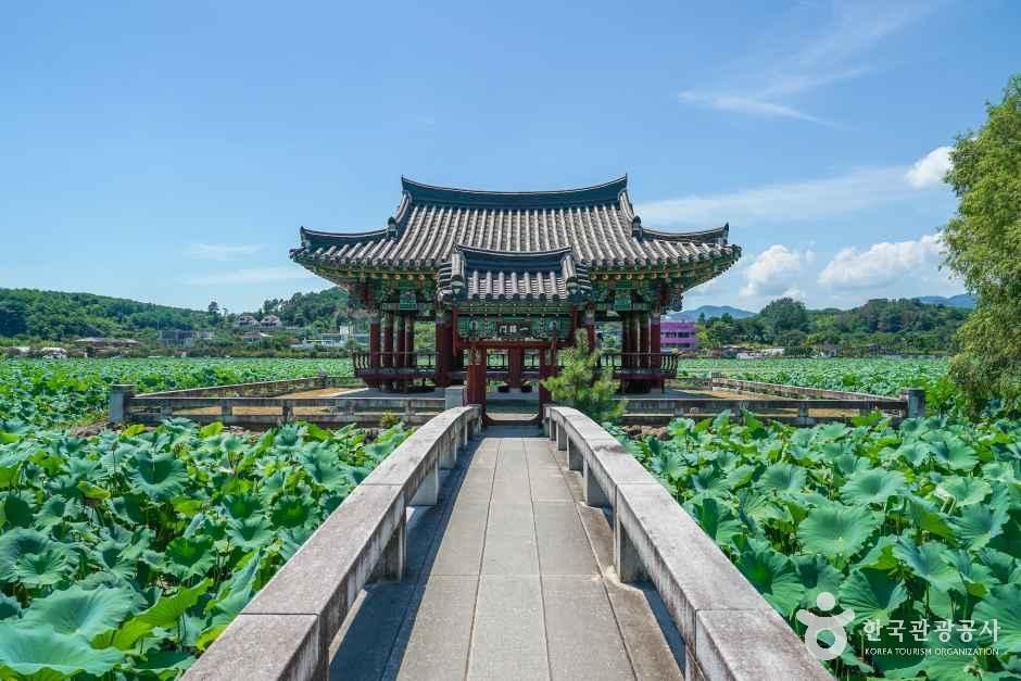 청도_유등연지 (6).jpg