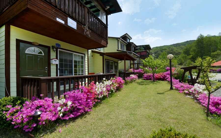 횡성_펜션 별을쏘다_외부전경 (5).jpg