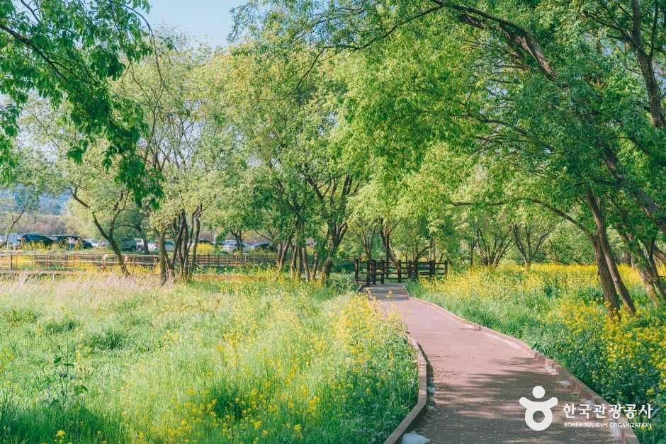 경북_경주_금장대 수변공원_외부_2.jpg