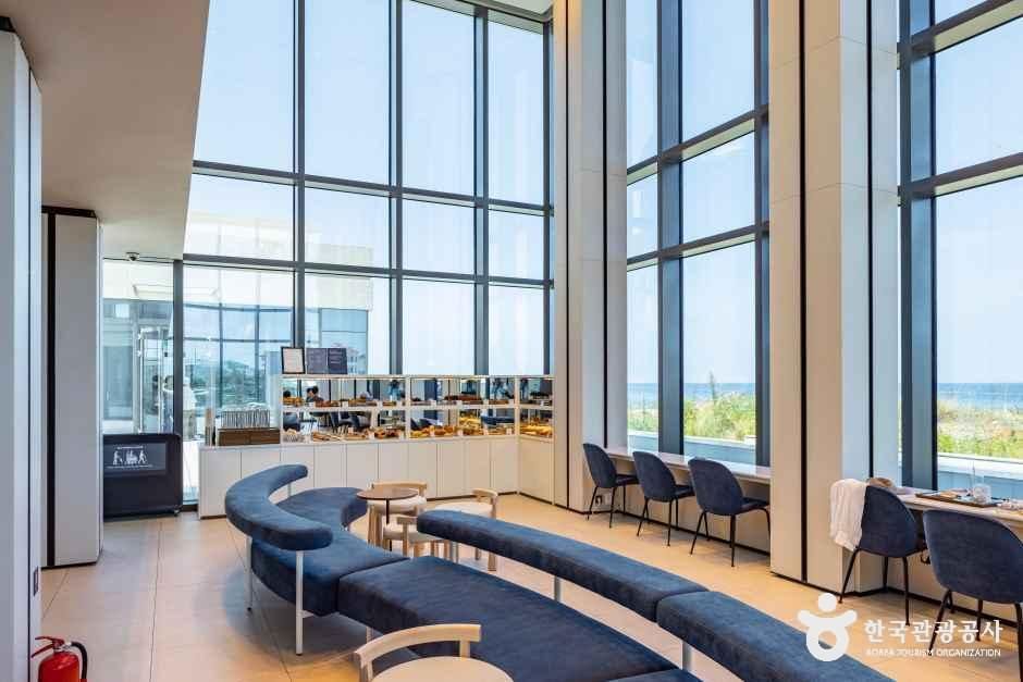 신라스테이 플러스 이호테우