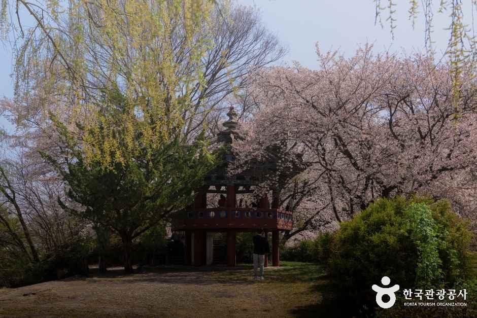 덕천서원(거창)