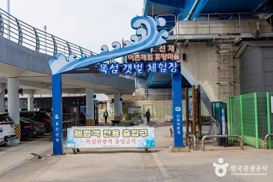 선재도(선재도 어촌체험마을)