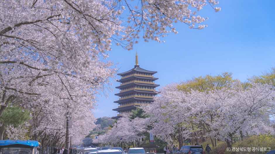 皇龍院