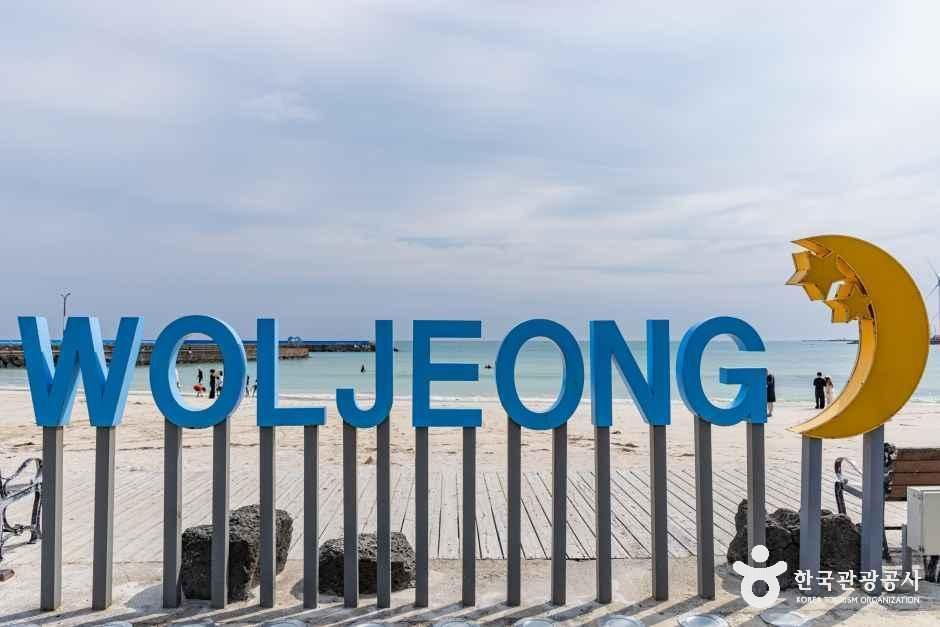 월정리해변(월정리해수욕장)
