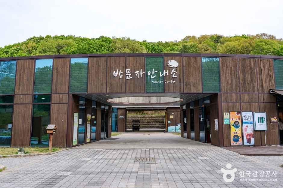 초막골생태공원 사진 6