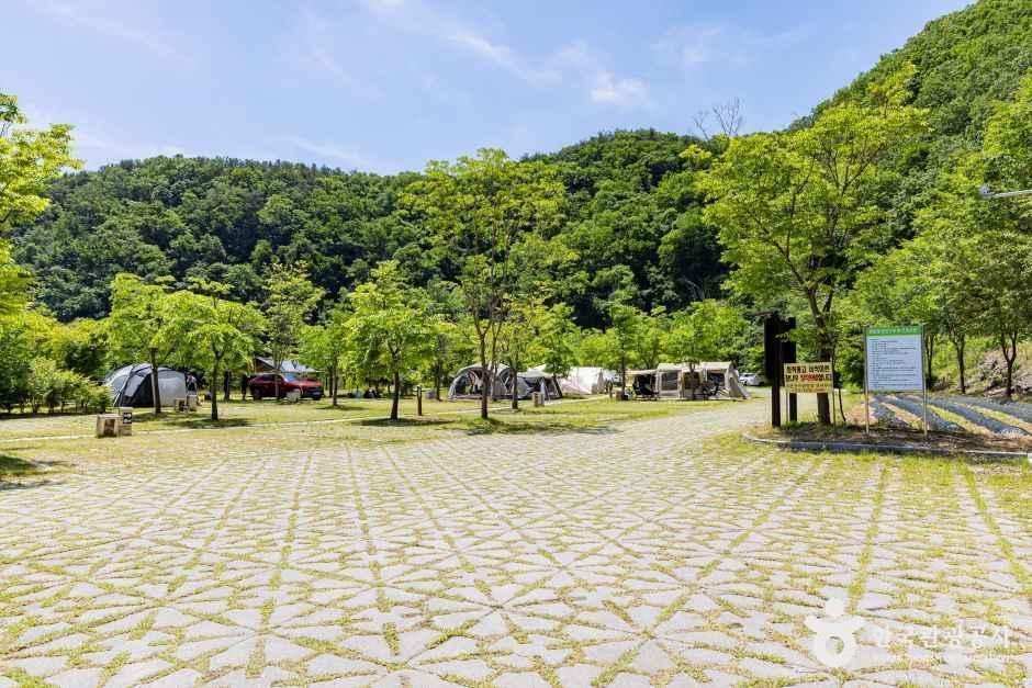 원남테마공원캠핑장