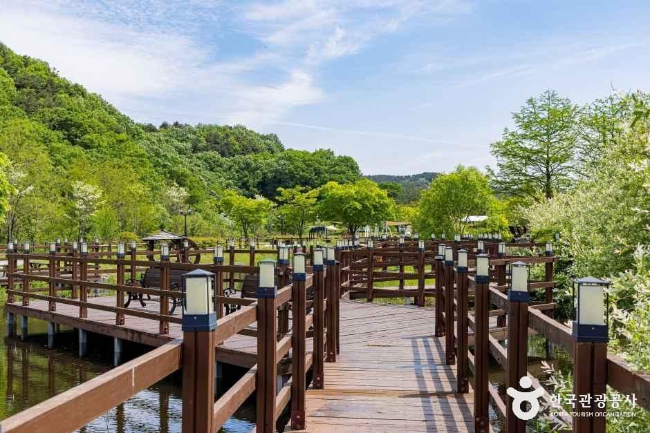 오창미래지농촌테마공원 캠핑장