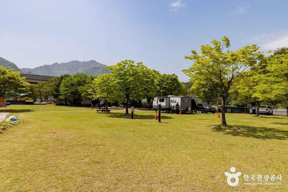 시냇가 캠핑장