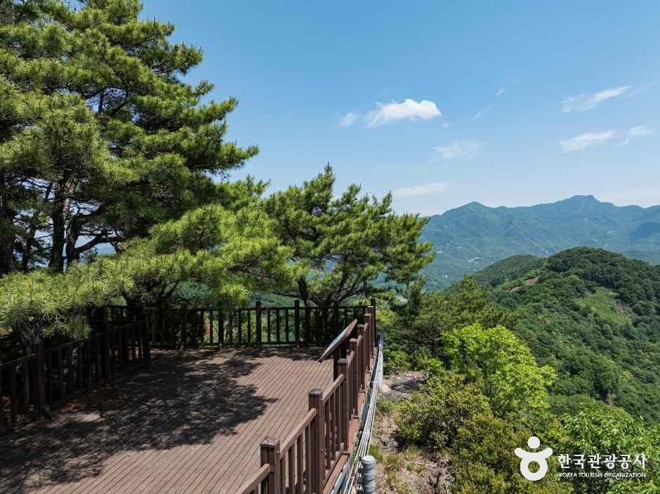 [청풍호자드락길 6코스] 괴곡성벽길