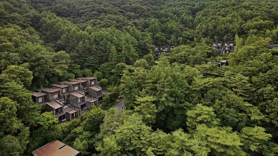 Forest Resom Have 9 Wellness Spa (포레스트 리솜 해브나인 웰니스 스파)