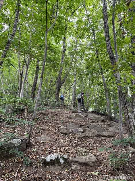 하동_[지리산둘레길] 원부춘-가탄 (2).jpg