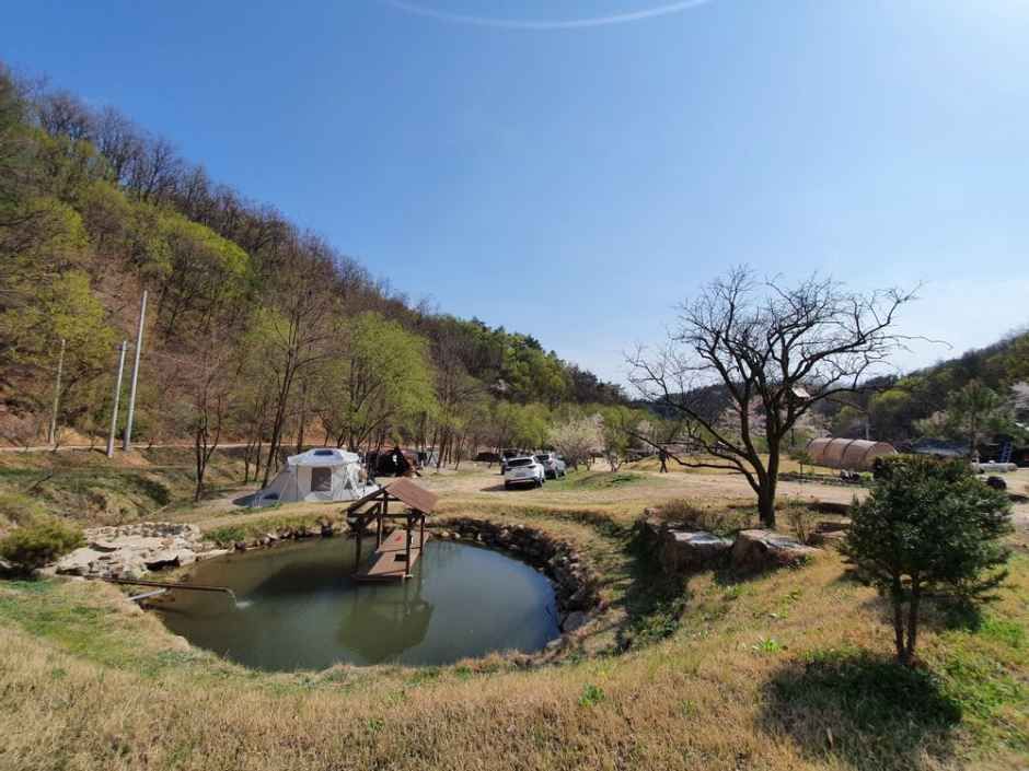 숲속캠핑장