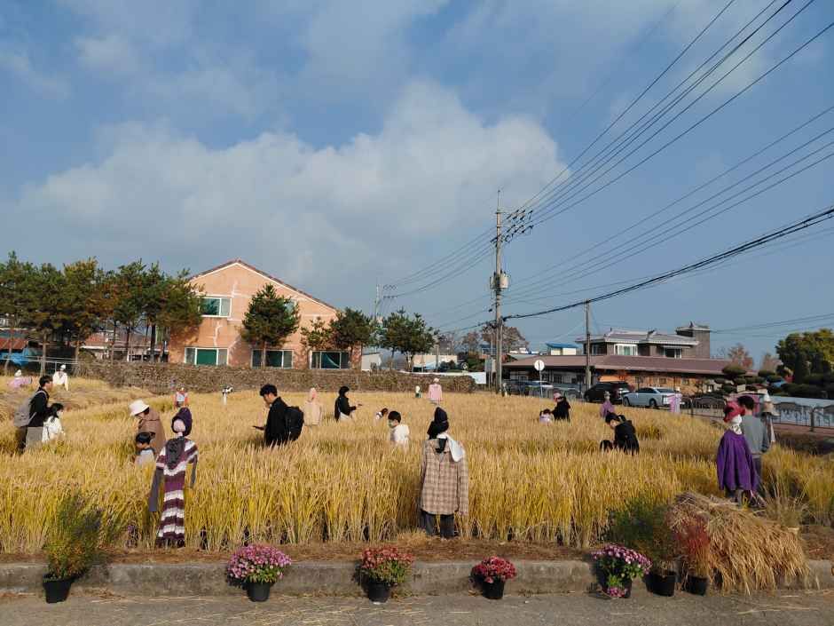 의좋은 형제 축제 현장 6