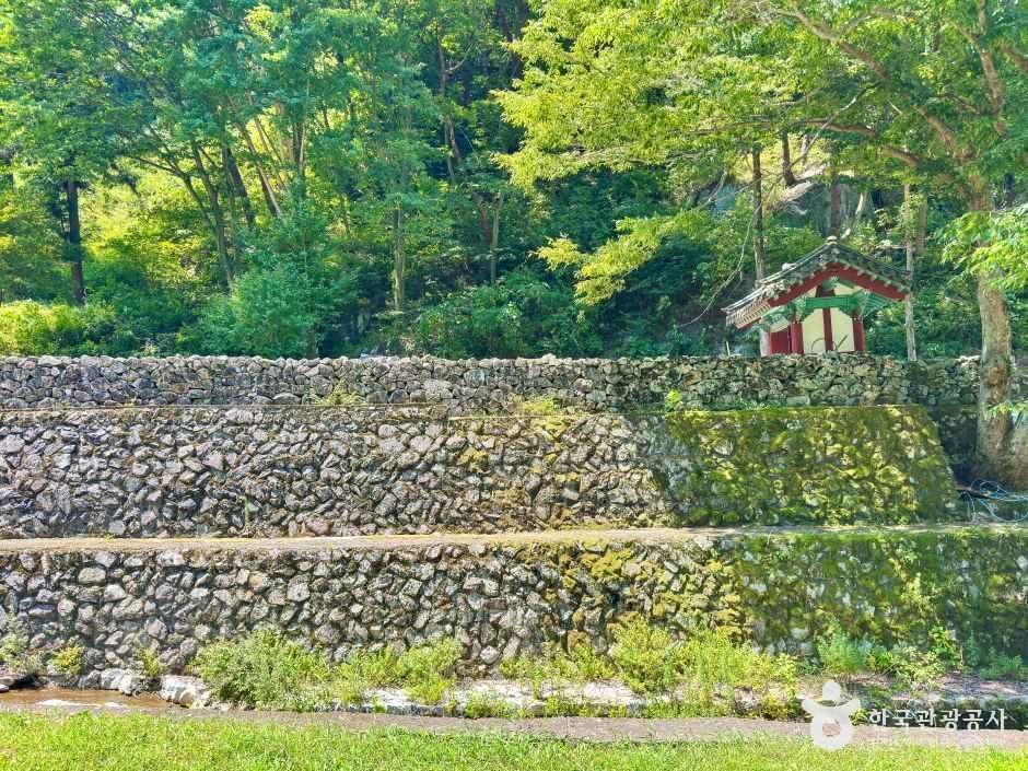 산청 전 구형왕릉