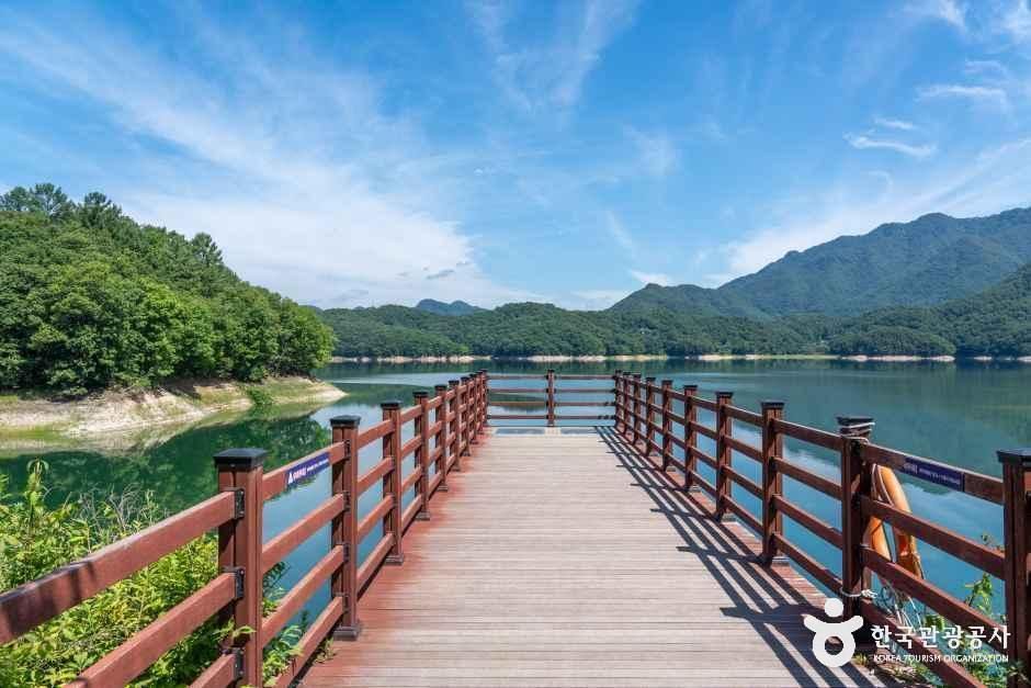 [횡성호수길] 5구간