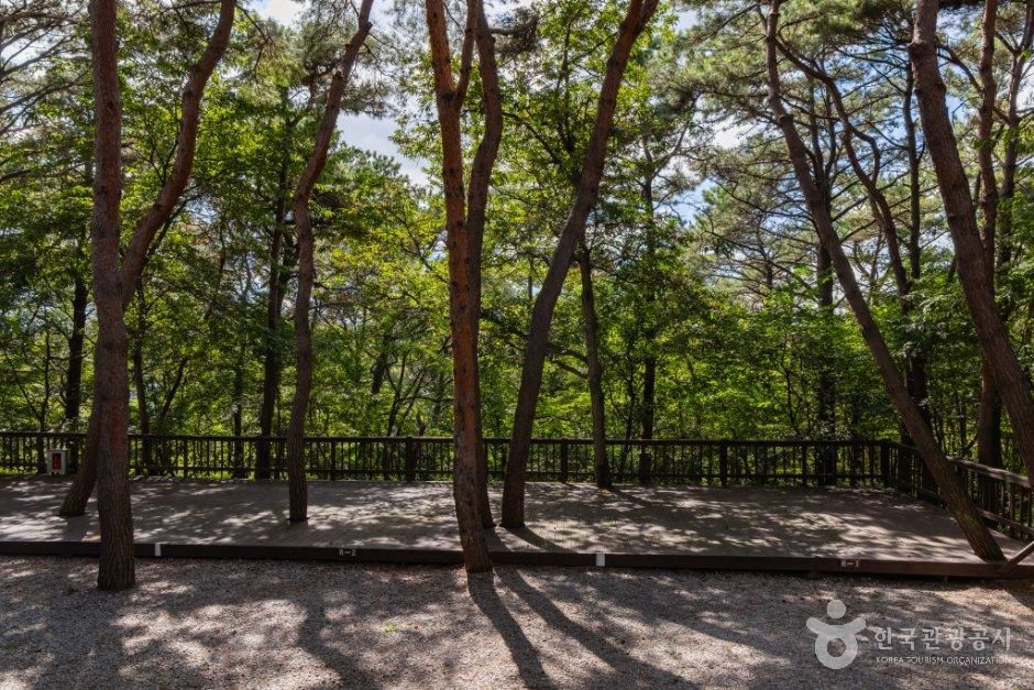 용봉산캠핑장