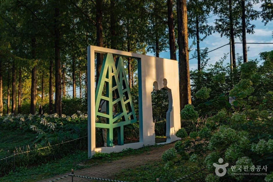 서울_마포구_하늘공원 메타세쿼이아 숲길 (2).jpg