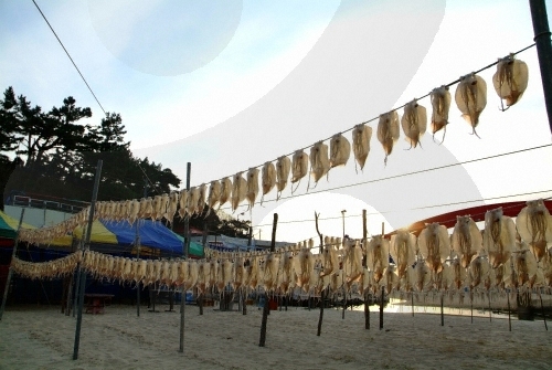 추암해변 추암해변