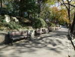 인천 자유공원 (2)