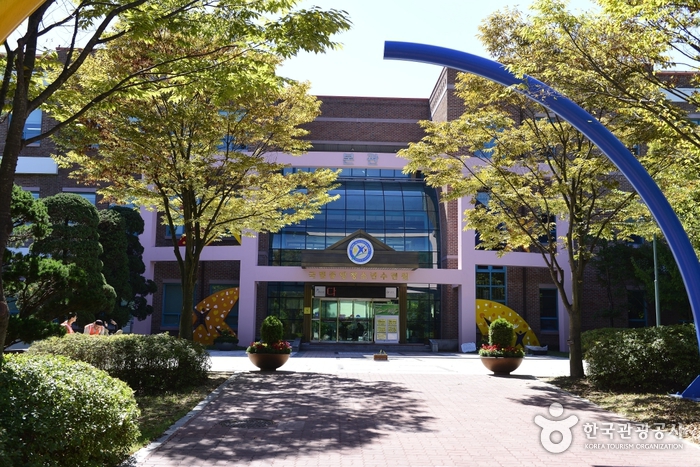 National Central Youth Training Institute
