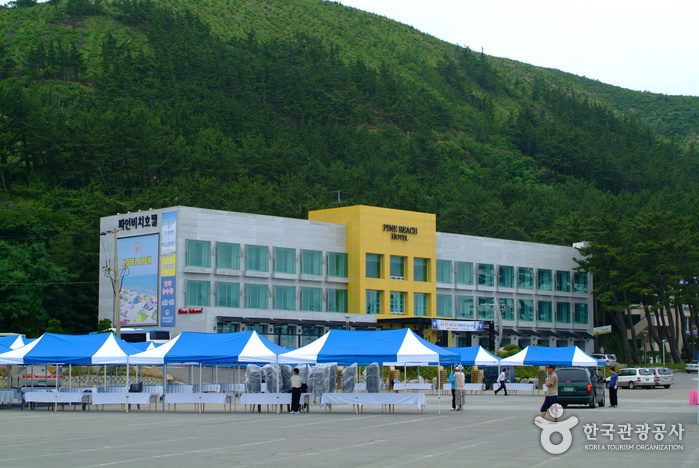 칠포해수욕장 칠포해수욕장