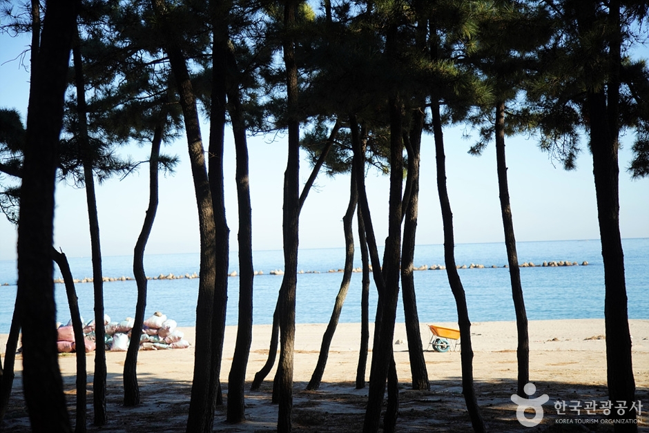 元坪海水浴場