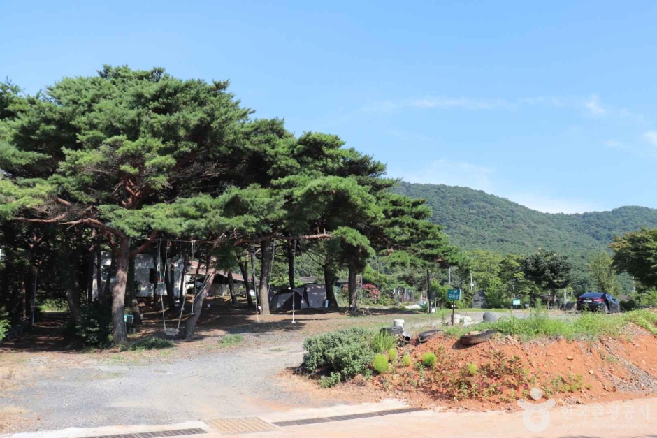 Daecheon Auto Campground
