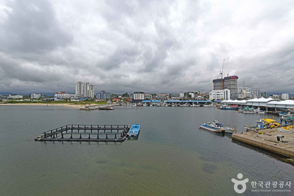 鳳浦港