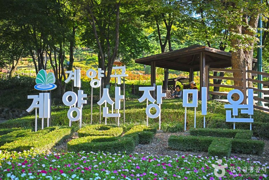 桂陽山バラ園