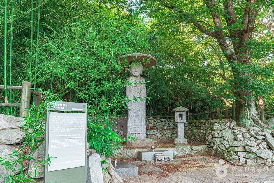 망제동석불입상