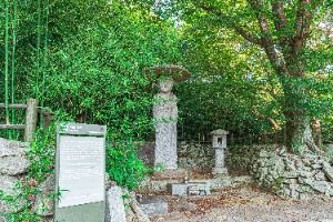 망제동석불입상