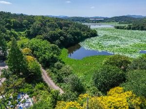장척호와 번개늪