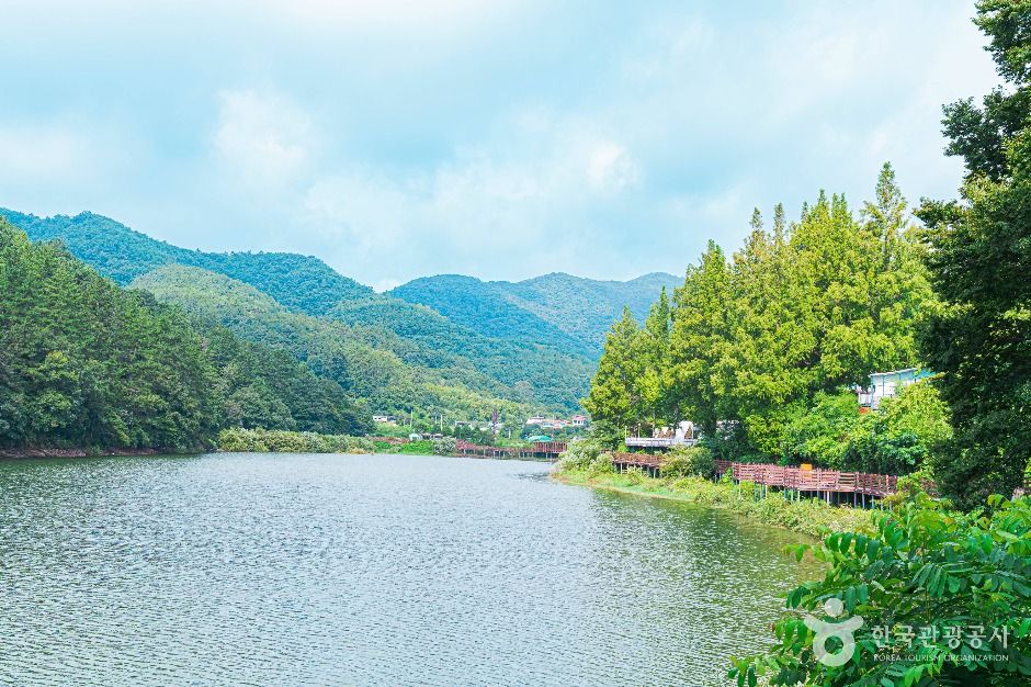Hansuje