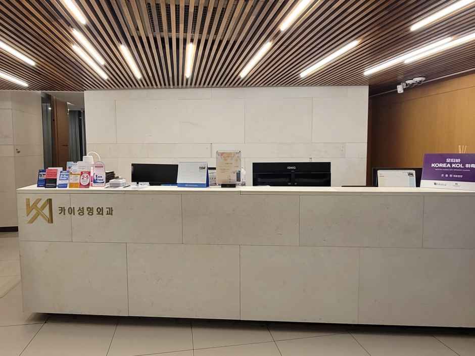 Kai Plastic Surgery [Tax Refund Shop]