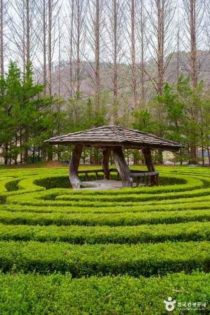 금산지구별그림책마을