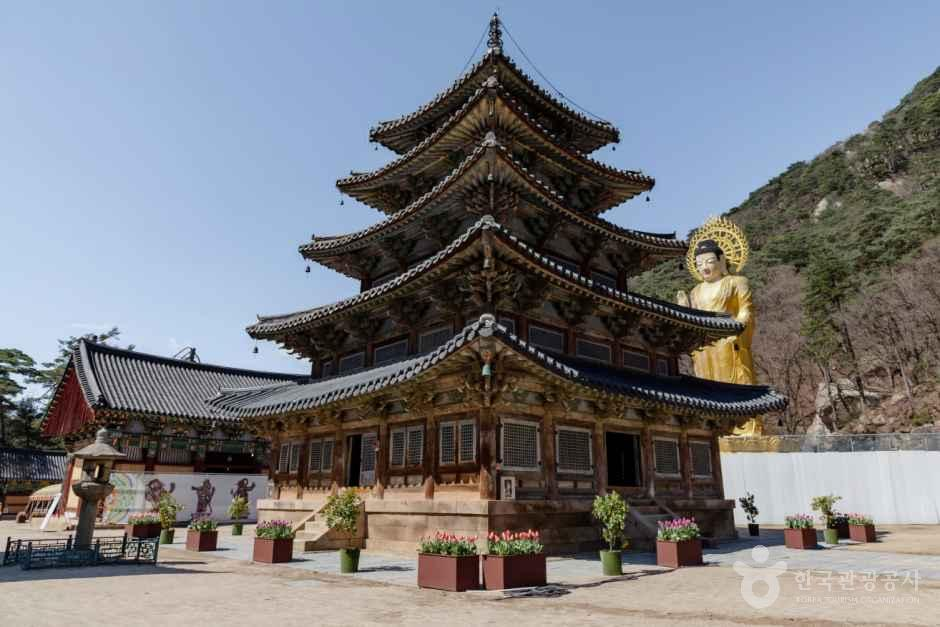 4058785 image2 1 예스키즈존 탐험대 : 실패 없는 육아여행