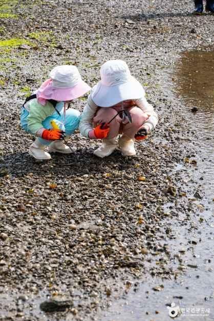 칠천도 옥계체험휴양마을