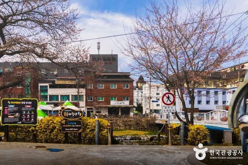 수안보온천 관광특구