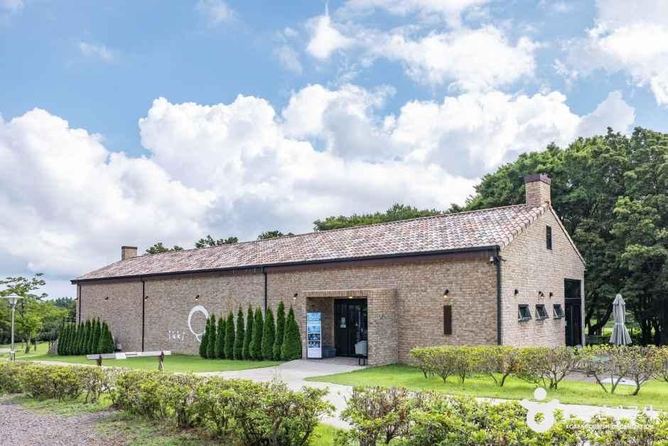 제주_이끼숲소길 (7).jpg