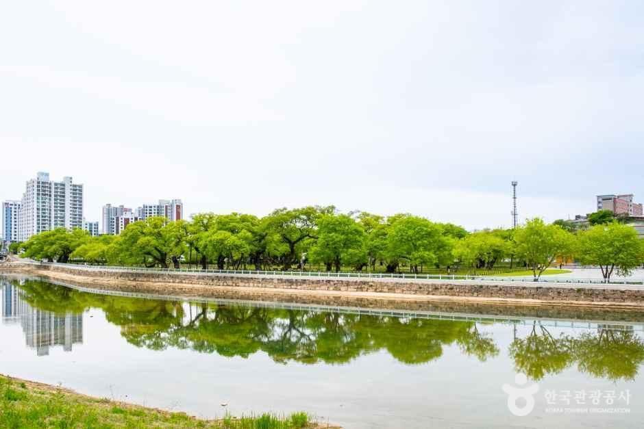 성주 경산리 성밖숲