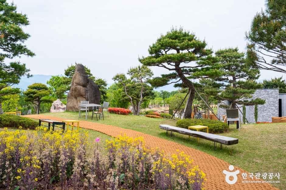 반야원 플라타너스