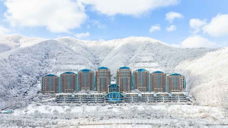 소노펠리체 비발디파크