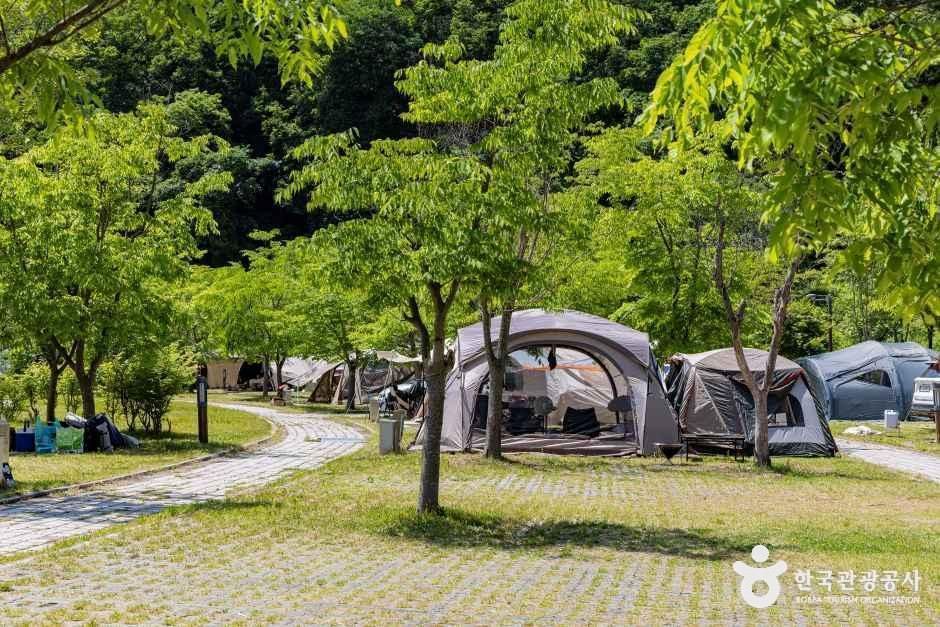 원남테마공원캠핑장