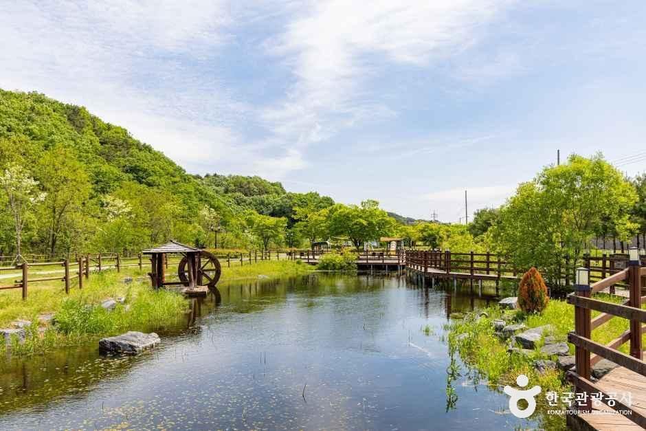 오창미래지농촌테마공원 캠핑장
